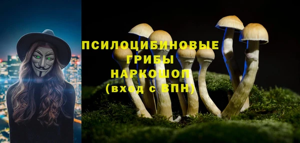 прущая мука Баксан