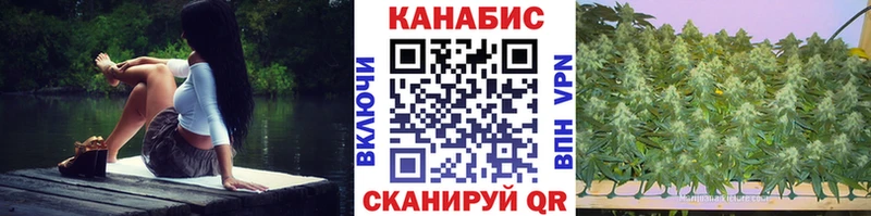 Каннабис Bruce Banner  Купить закладки  Медынь 